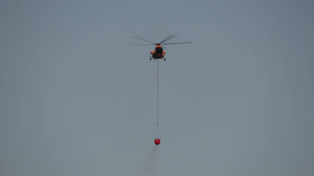 Çanakkale'deki Tarihi Alan'ın güney hattı ziyarete açıldı! Orman yangınında kapatılmıştı - Resim: 33